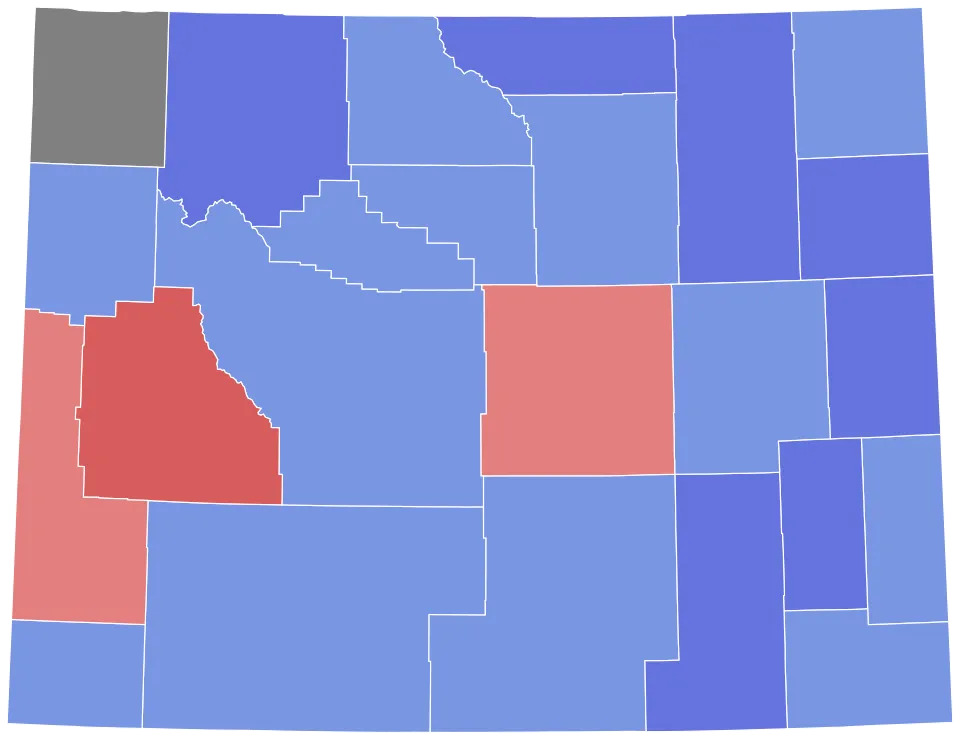 1924 Wyoming gubernatorial special election