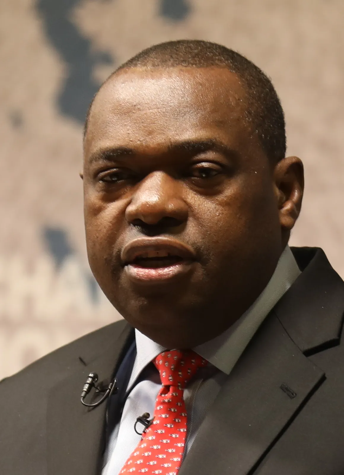 Sibusiso Moyo (politician)